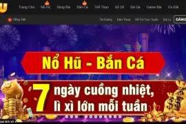 NoHu27 - Nhà cái cá cược trực tuyến uy tín hiện nay